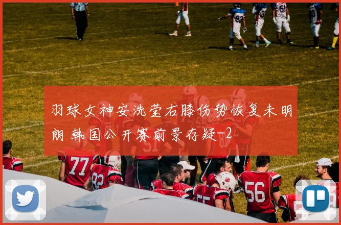 羽球女神安洗莹右膝伤势恢复未明朗 韩国公开赛前景存疑